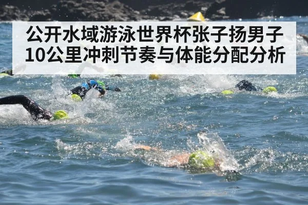 公开水域游泳世界杯张子扬男子10公里冲刺节奏与体能分配分析