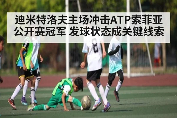 迪米特洛夫主场冲击ATP索菲亚公开赛冠军 发球状态成关键线索